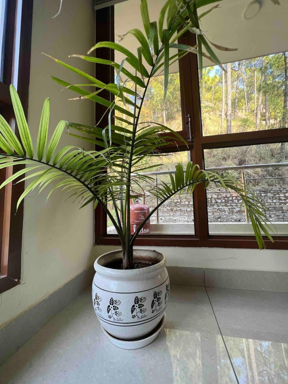 2Bhk Furnished Apartment/Near Kasauli/Barog/Luv Fun & Adventure Solan Zewnętrze zdjęcie