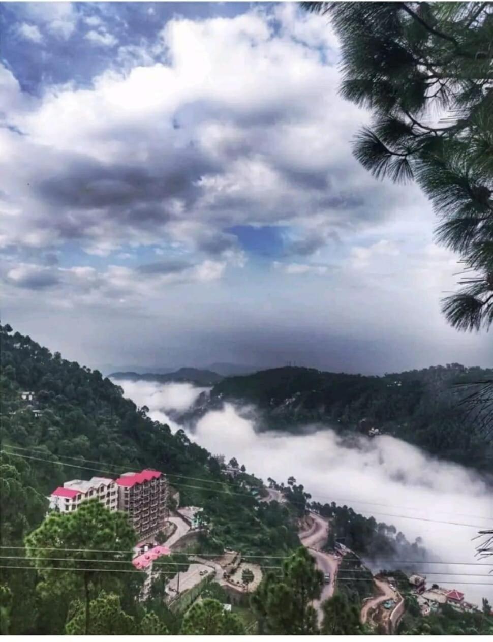 2Bhk Furnished Apartment/Near Kasauli/Barog/Luv Fun & Adventure Solan Zewnętrze zdjęcie